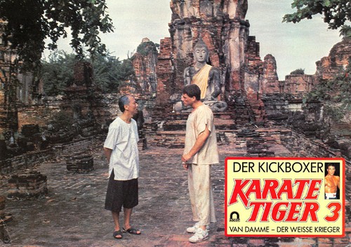 Karate tiger der kickboxer - tiger, 3