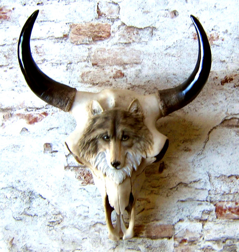 Schädel mit wolfskopf 40cm - schädel, h:40cm