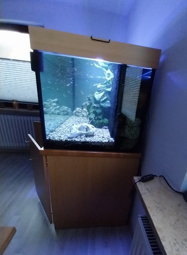 Oase komplettaquarium - oase,