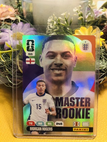 Fifa world cup - world, panini
