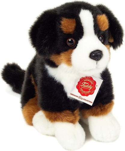 91972 teddy hermann berner - hermann,