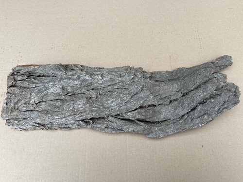 Baumrinde rinde dekorinde - baumrinde,