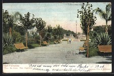San Fernando, Parkanlage mit Sitzbänken und Palmen, Ansichtskarte 