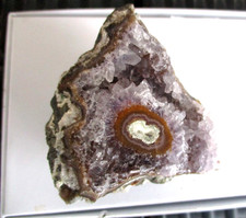 #1 AMETHYST - Rosette aus Uruguay  Druse A-Qualität 6,5 x 6,5 x 2,5 cm 113 g