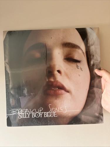 Silly boy blue breakup - blue, songs