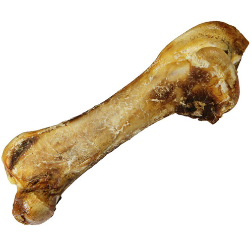 Schecker riesen - schecker,