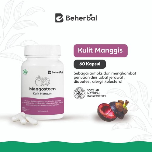 Mangostan schalenkappen natur - mangostan,