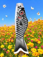 Japanischer Karpfen 55 cm 1