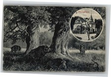 Darmstadt Oberwaldhaus Wildschweine