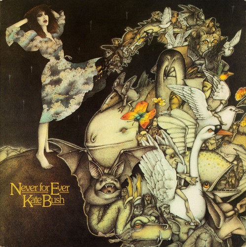 Kate bush never - bush,