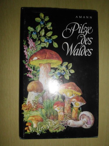 Pilze des waldes - pilze,