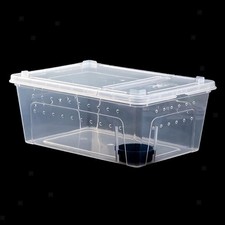 Reptilienzuchtbox