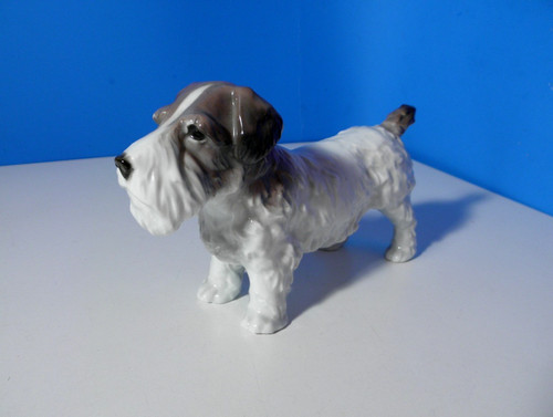 Schöner alter terrier hund - schöner, *