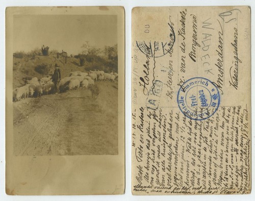 96989 schäfer mit - -,