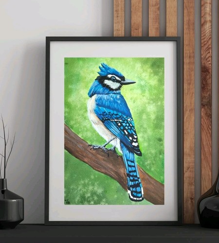 Blauhäher original mit - blauhäher,