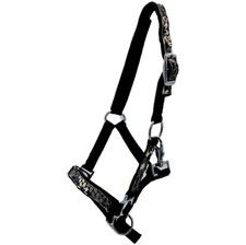 Halfter Minishetty Fohlen