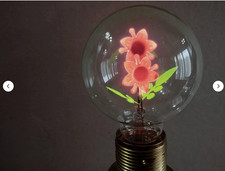 ORIGINAL Aerolux Style Neon Glow Lamp Bulb-THE FLOWERS---E27-220 V