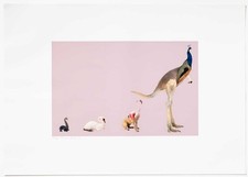 Thomas GRÜNFELD handsigniert