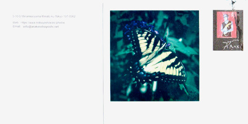 Araki original polaroid - n.,
