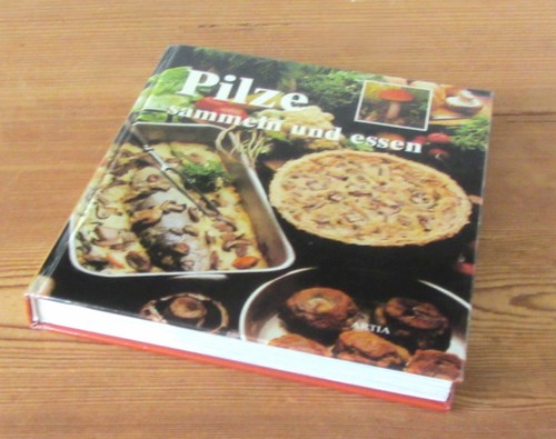 Pilze sammeln und - sammeln, essen