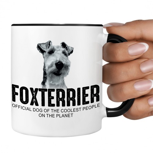 Foxterrier foxie drahthaar - foxterrier,