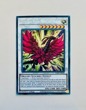 Yu-Gi-Oh! Quarter Century