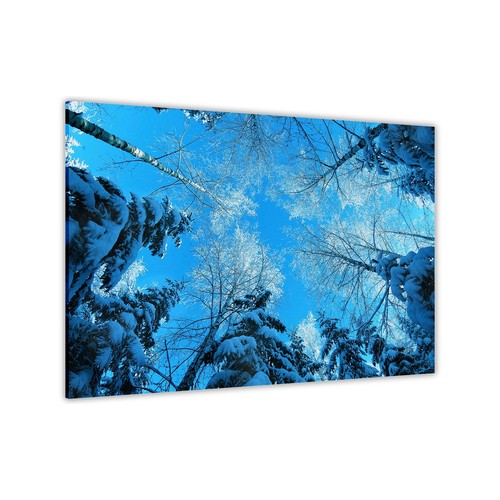 Blaue winterbäume leinwand - blaue,