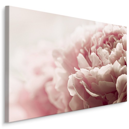 Canvas leinwand bilder xxl - bilder,