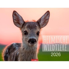 Weingarten Monats-Wandkalender