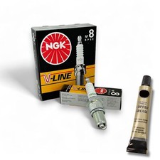 12x Zündkerzen VLine NGK für Daimler Double Six / Vanden 5.3 1972-1975 +Paste