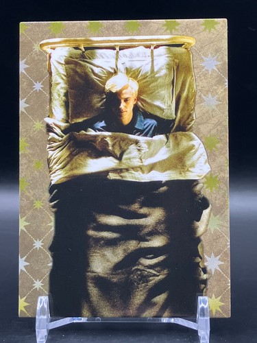 Harry potter evolution draco - harry,