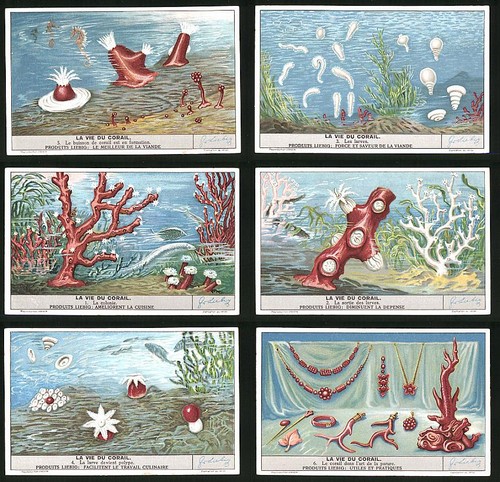 Sammelbilder liebig serie - 6,