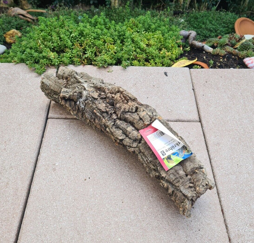 Zierkorkrinde 37x8x9cm - ,