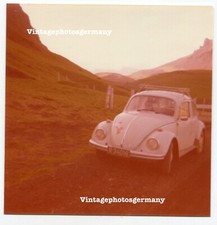 K9957 Foto VW Käfer Volkswagen Auto PKW Dachgepäckträger