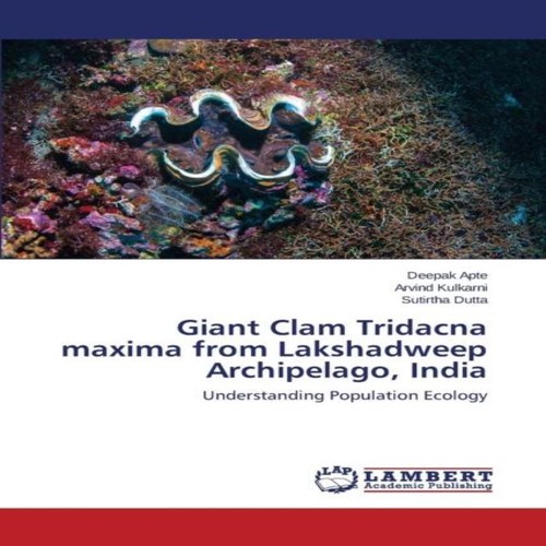 Giant clam tridacna - clam, maxima