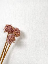 Newroom vliestapete weiß - vliestapete,