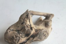 Schwemmholz Treibholz Skulptur