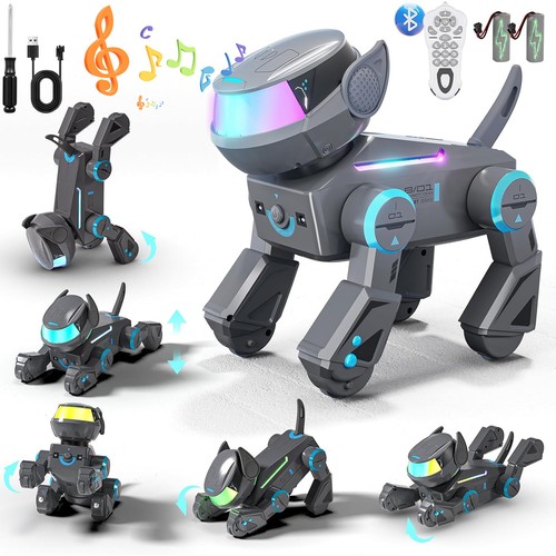 Ferngesteuerter roboter hund - roboter,