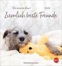 Ziemlich beste Freunde