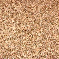 Weizen Futterweizen Geflügelfutter Hühnerfutter Vogelfutter Körner Hühner 15kg