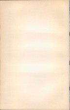 Holzschnitt - Holzstich - 1903 - Spektralanalyse.