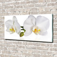 Glas bild wandbilder druck auf - glas-bild,