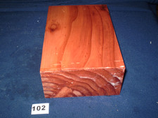 Redwood mammutbaum - redwood,