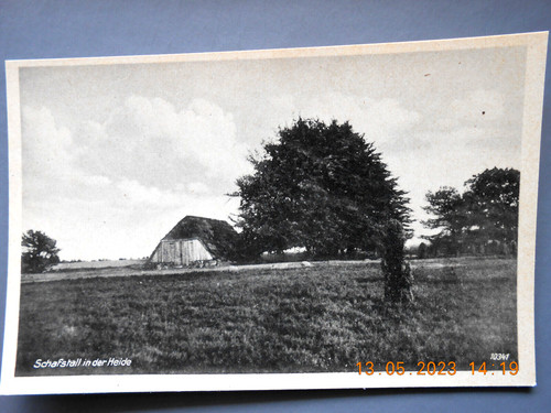 Lüneburger heide schafstall - lÜneburger, heide,