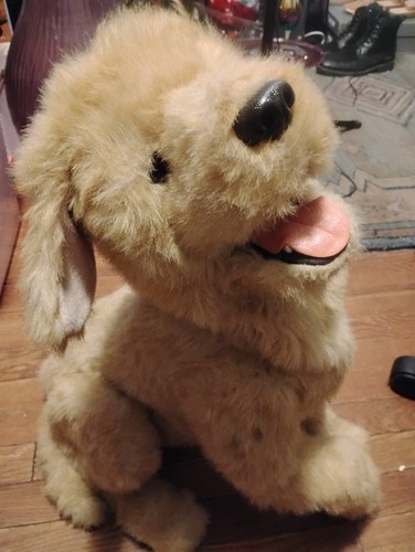 Furreal friends biscuit - friends, my