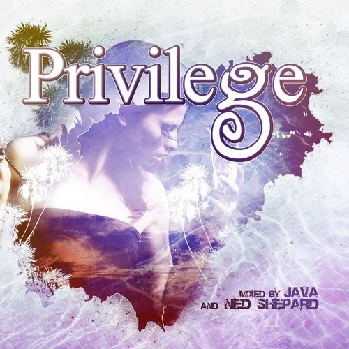Various artists privilege - artists,