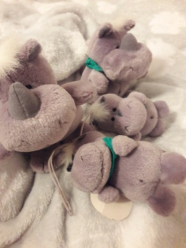 Nici nashorn familie - nashorn,