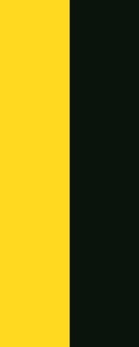 Fahne flagge gelb schwarz - fahne, im