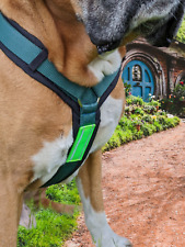 AUSVERKAUF LAGERRÄUMUNG Hundegeschirr Reflektiert Glühwürmchen Y-Geschirr
