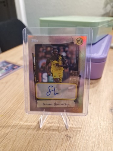 Guirassy bvb focus auto - bvb,